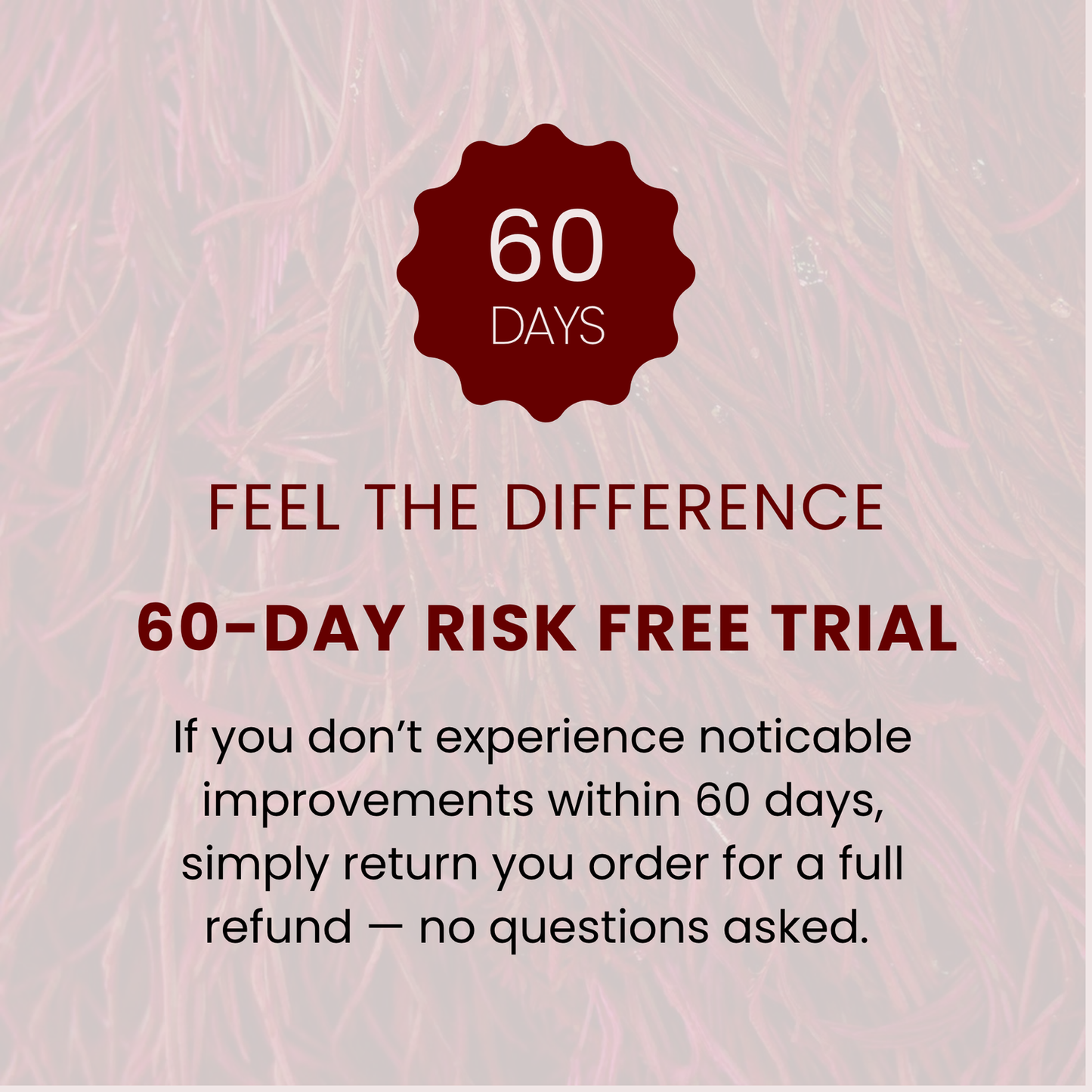 Astaxanthin Anti Inflammatory